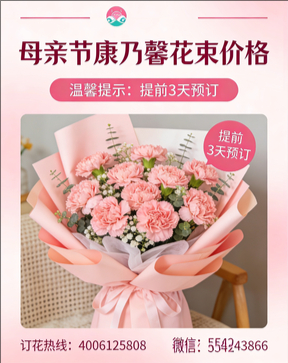 玉溪花店母亲节康乃馨花束