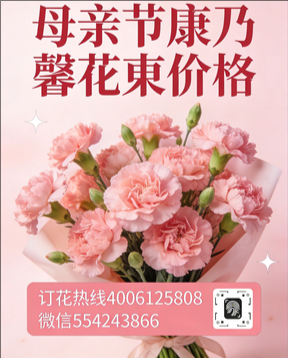 玉溪花店母亲节康乃馨花束